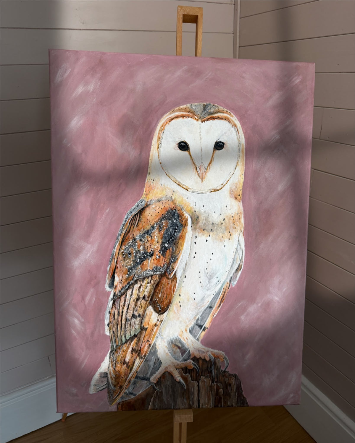Week 31 - Barn Owl