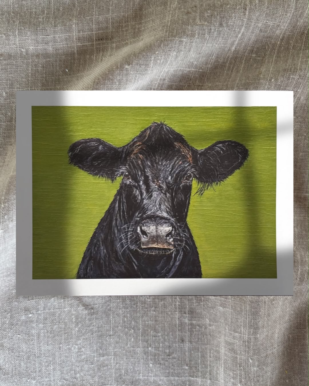Aberdeen Moo’d