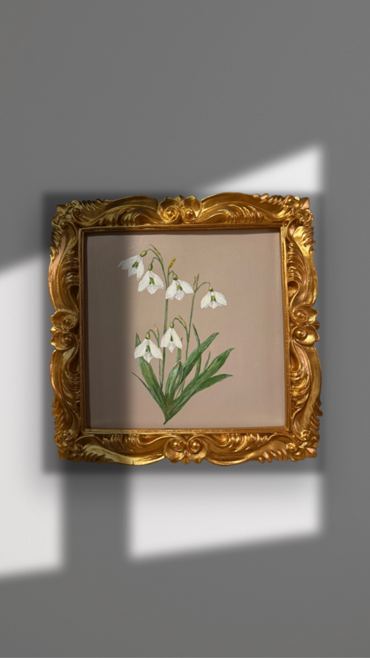 Week 2 - January Snowdrops