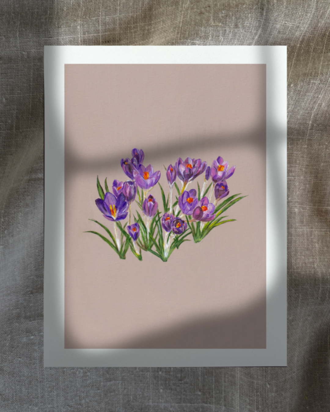 February Crocuses