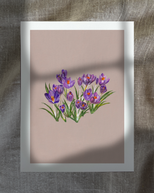 February Crocuses