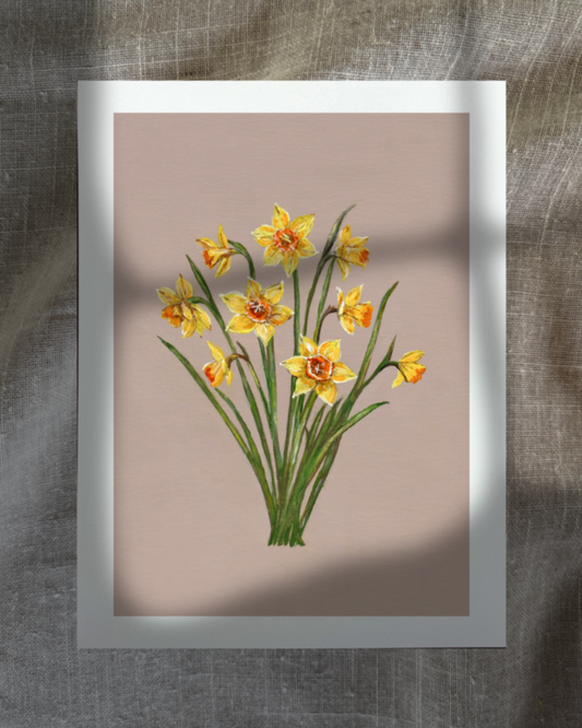 March Daffodils