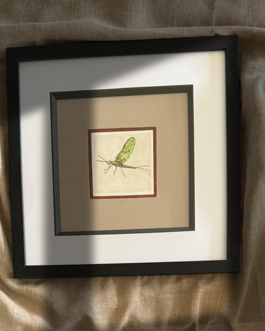 Week 16 - Mayfly
