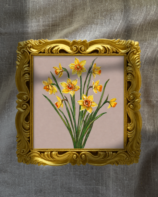March Daffodils