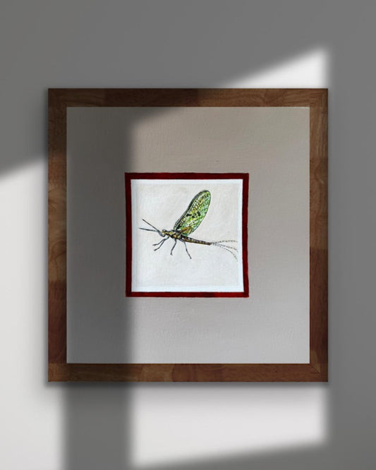 Mayfly
