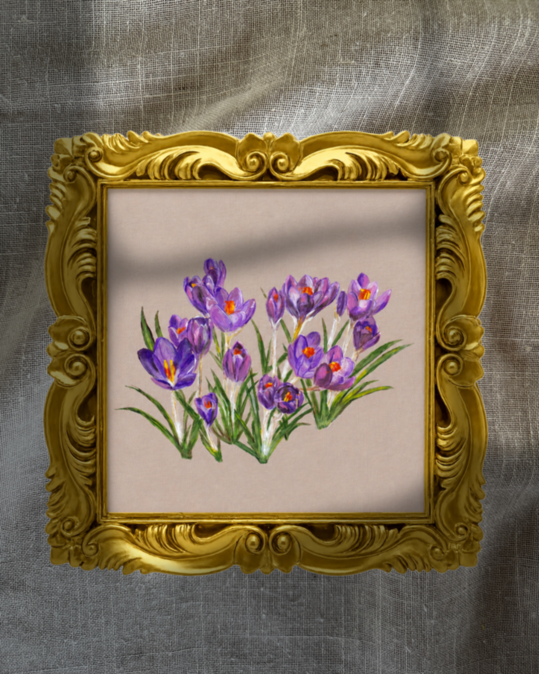February Crocuses