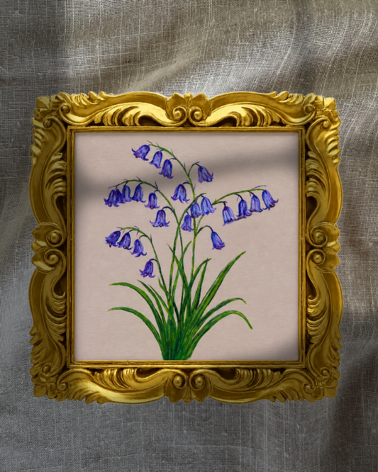 April Bluebells