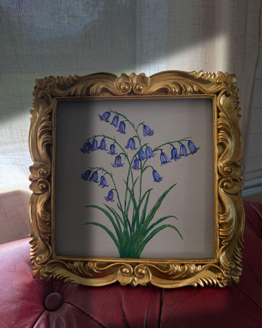 Week 15 - April Bluebells