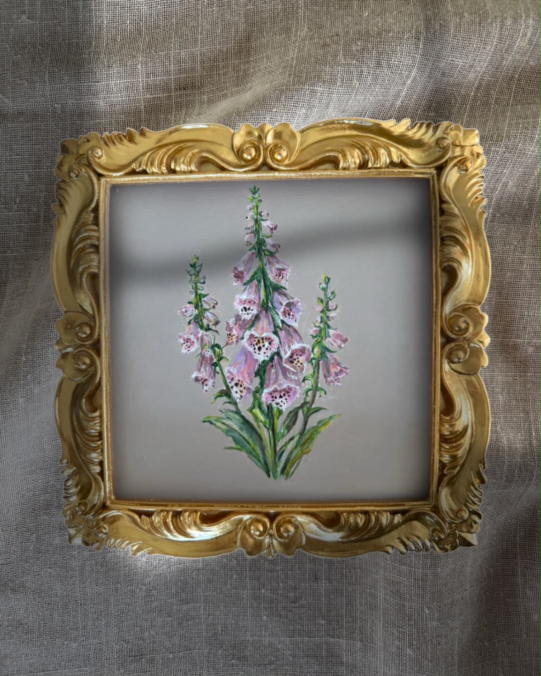 Week 25 - June Foxgloves
