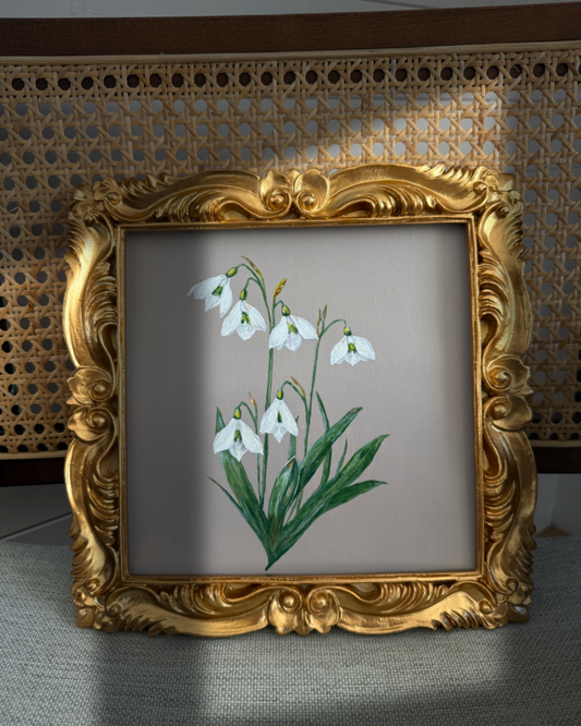 Week 2 - January Snowdrops