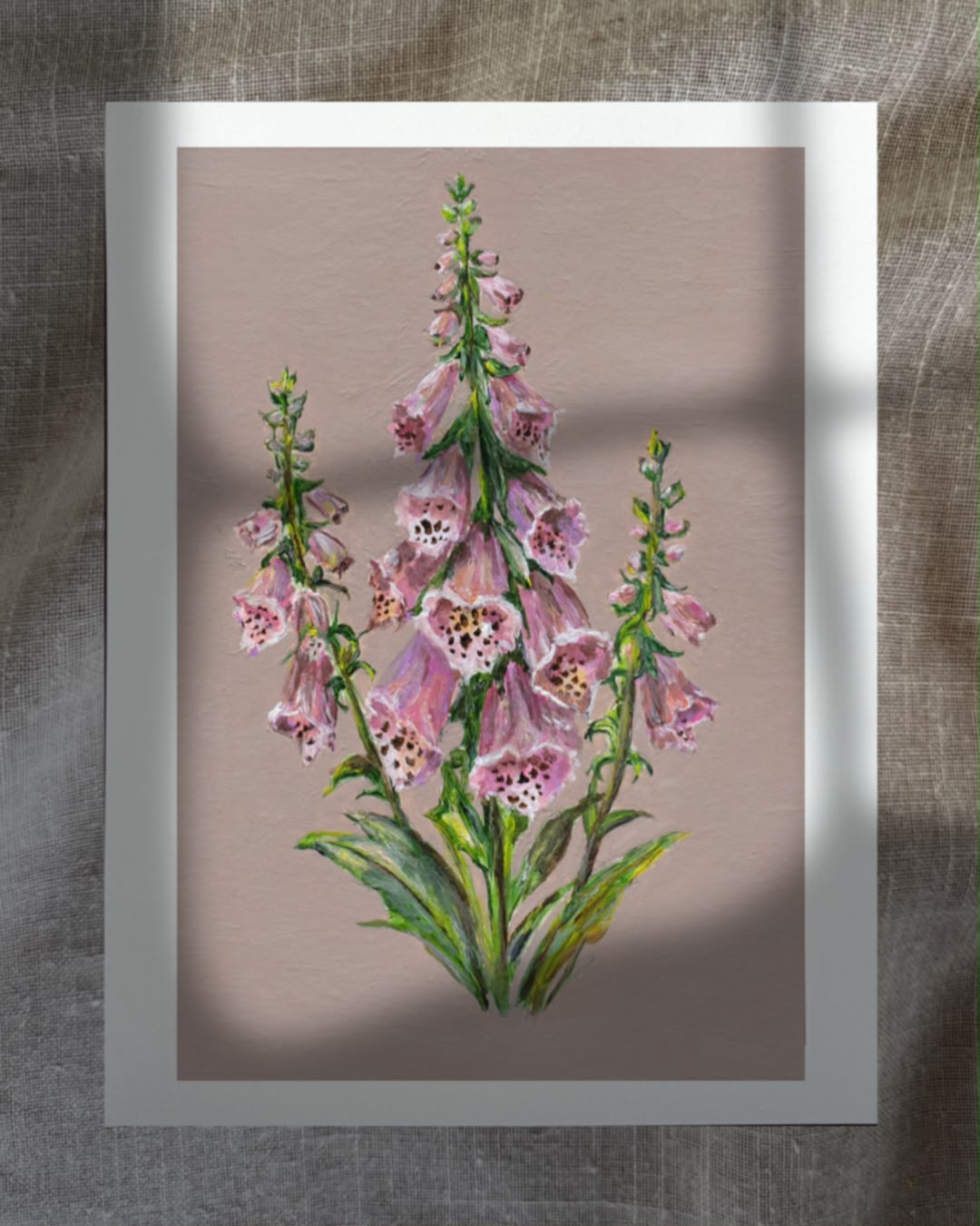 June Foxgloves