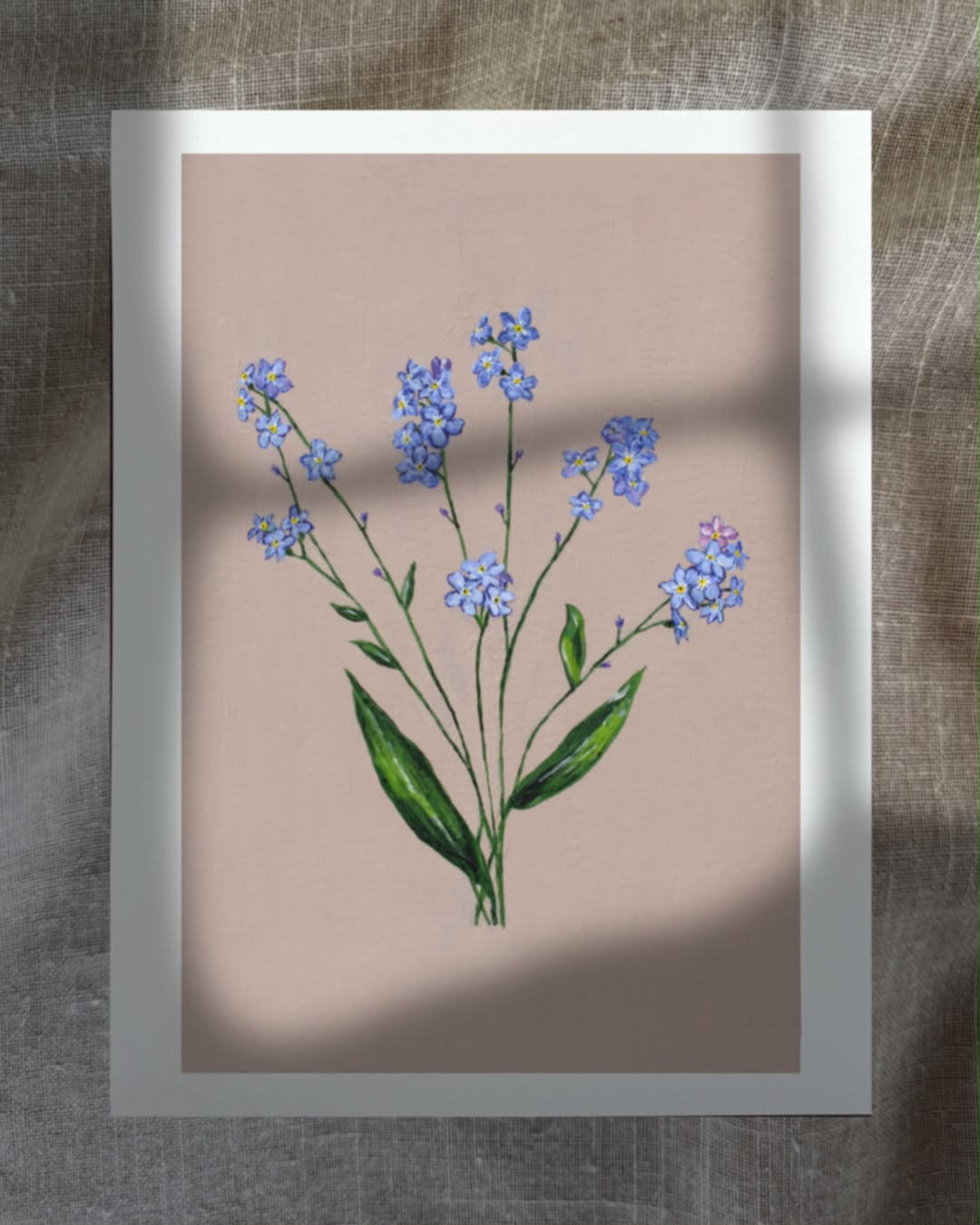 May Forget-Me-Nots